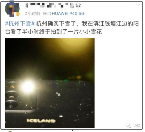 飘雪网在线视频,沉浸式在线视频，带你领略冬日浪漫