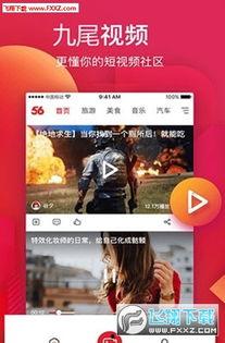 入口在线视频观看,探索入口在线视频的魅力