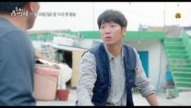 柳柳馨雨在线视频,探寻网络直播的魅力与影响