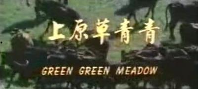 青青草原她也在线视频,她与他的浪漫邂逅